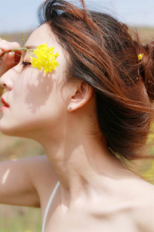 天使艾美丽电视剧